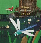 بندپایان از سر تا دم