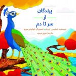 پرندگان از سر تا دم