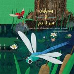 بندپایان از سر تا دم